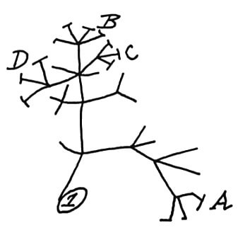 Árbol de la vida, ilustrado por Darwin